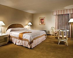 Imperial Palace Deluxe Room view - cozy and bright
